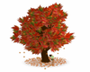 Autumn kissing tree