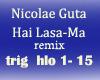 Nicolae guta  remix