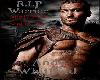 RIP Andy Whitfield