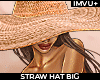 ! crochet straw hat