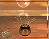 ℳ▸Lucky Vase