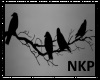 NKP-CROWS transp art