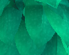 Shoulder Feathers