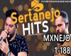 Mix Sertan. mxnejo1-188
