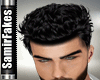 SF/Roger Black Hair v1