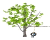 ANIMATED TIRE TREE SWING