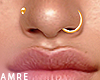 Nose Piercing Set (G)