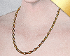 ✶Daisuke Collar