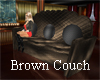 Brown Couch Reflect