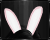 Bunny Ears Animated