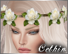 :C: Roses Headband