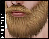 d| Long Blonde Beard
