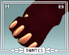 -D- | Musae Paws M