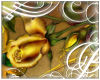 ~P~Gold Roses 1 BG