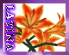 [ML]Hawaiian Lily Bush
