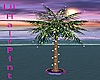 Palm Tree with Lights