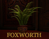 Foxworth Fern