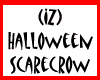 (IZ) Halloween Scarecrow