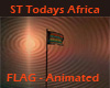 ST Todays Africa FLAG