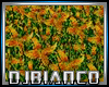 Epic Grass 4 Dj Light