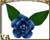 VA ~ Blue Floor Roses