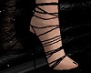 ♥D♥ Devil Heels B