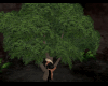 Animated Oke Tree