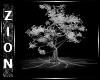 Black/White Tree Room