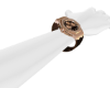 Luxury Watch Brown F