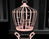 pink bird cage 
