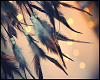 Cc | feather pic