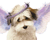 glitter angel dog, see!