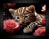 🐆 Leopard Baby BG