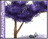Purple Dreams Tree