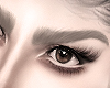 L| Shaped Brows Bld