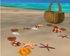 Sea Shell Animated