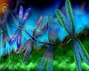 Slangor-Dragonflies