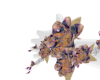 Masquerade Corsage 2
