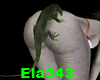 E+My Iguana Bites 