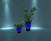 Blue Vase Plant Set