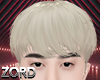 Hair Perfect Platinum
