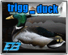*Duck*anm trigged