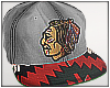 S .: BlackHawks Aztec SB