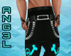 SPADESTEAL PANTS