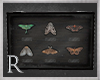 R. Butterfly Display V3