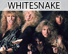 ^^ Whitesnake DVD 