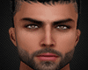 Derivable Head