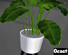 Minimalist Plant v1