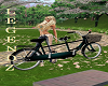 Fox/Couples Bicycle
