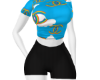 Venjii Rainbow Set RL